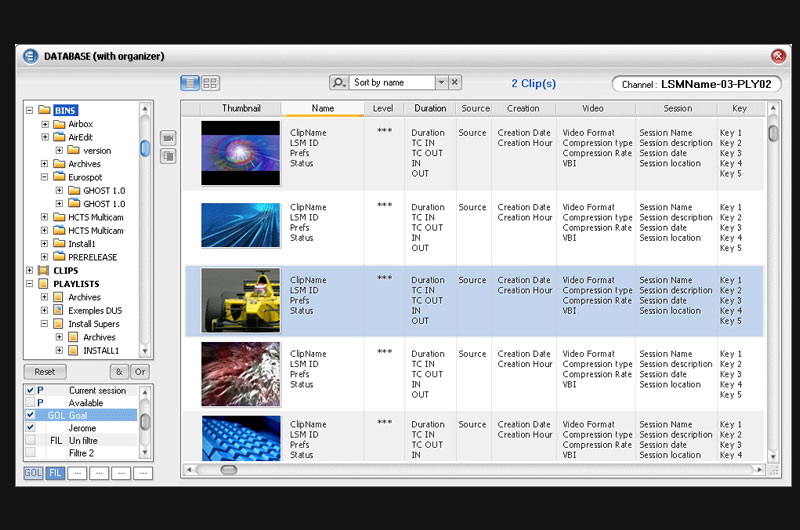 Database manager